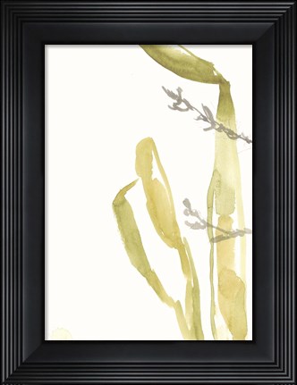 Framed Under Sea Forest IV Print