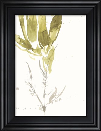 Framed Under Sea Forest VI Print