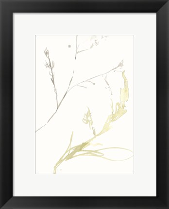 Framed Under Sea Forest IX Print