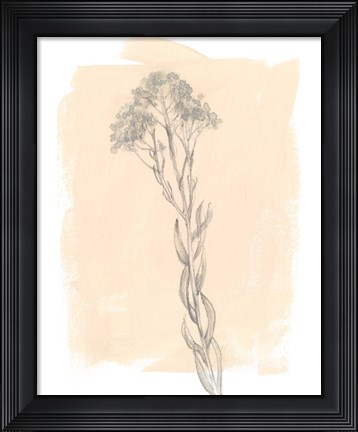 Framed Branch on Blush I Print