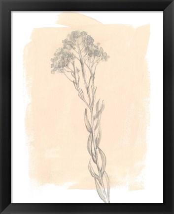 Framed Branch on Blush I Print