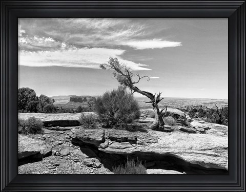 Framed Canyon Lands IV Print