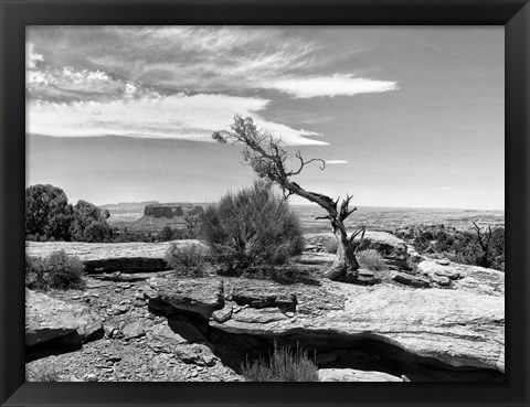 Framed Canyon Lands IV Print