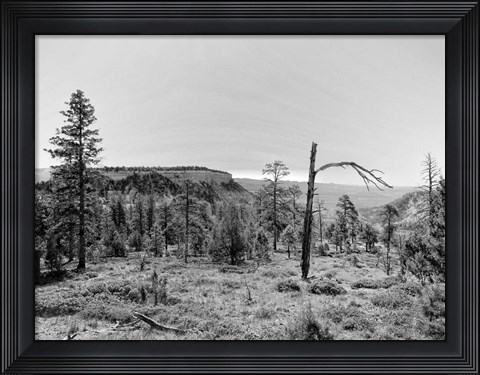 Framed Canyon Lands V Print