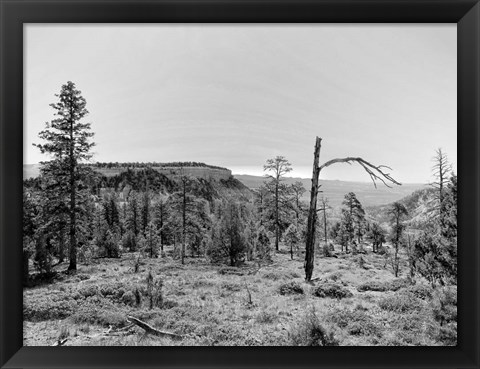 Framed Canyon Lands V Print