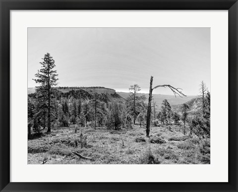 Framed Canyon Lands V Print