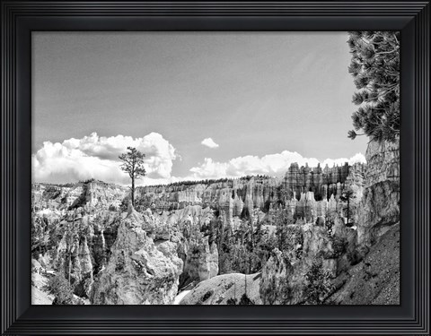 Framed Canyon Lands VI Print