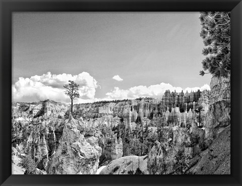 Framed Canyon Lands VI Print