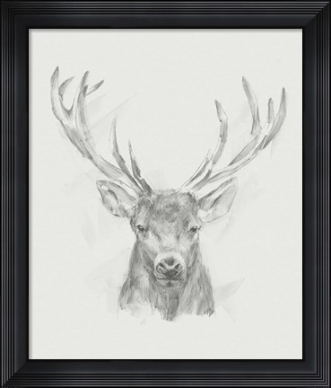 Framed Contemporary Elk Sketch II Print