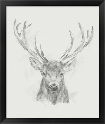 Framed Contemporary Elk Sketch II Print