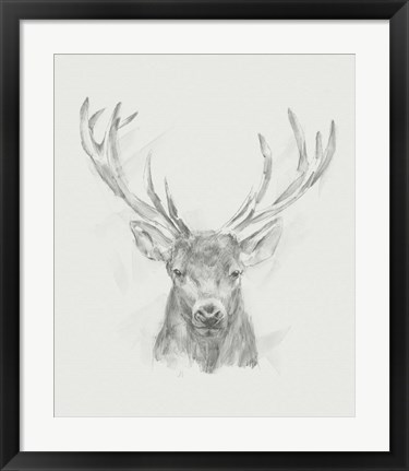 Framed Contemporary Elk Sketch II Print