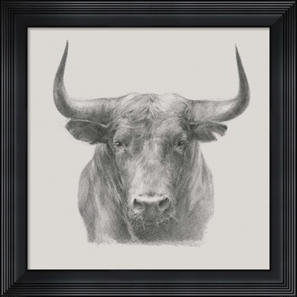 Framed Black Bull Print