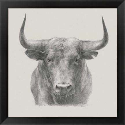 Framed Black Bull Print