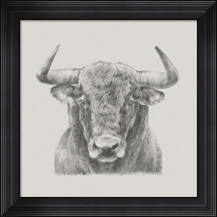 Framed Black &amp; White Bull Print