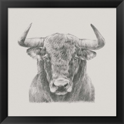 Framed Black &amp; White Bull Print