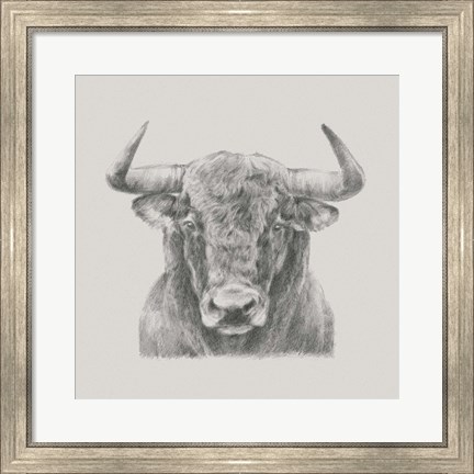 Framed Black &amp; White Bull Print