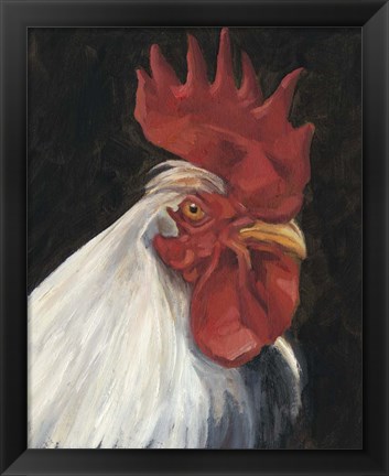 Framed Rooster Portrait I Print