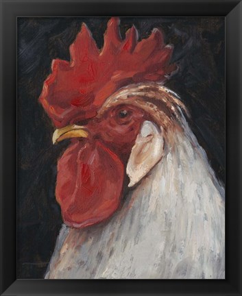 Framed Rooster Portrait II Print