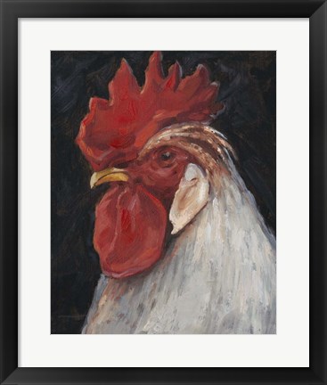 Framed Rooster Portrait II Print