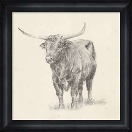 Framed Longhorn Steer Sketch I Print