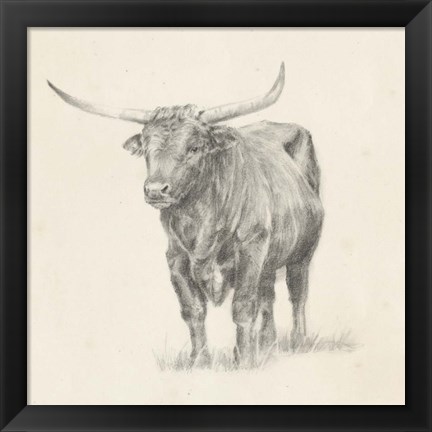 Framed Longhorn Steer Sketch I Print