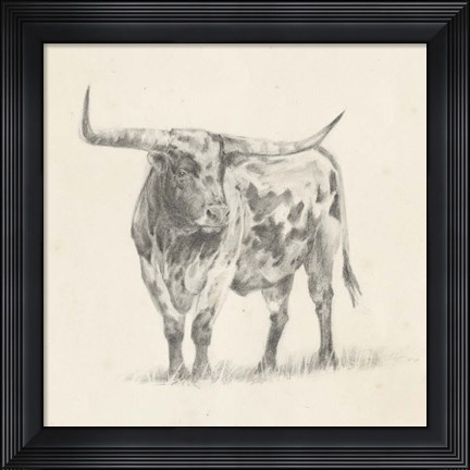 Framed Longhorn Steer Sketch II Print