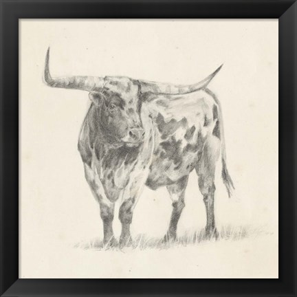 Framed Longhorn Steer Sketch II Print