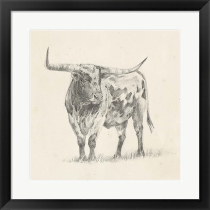 Framed Longhorn Steer Sketch II Print