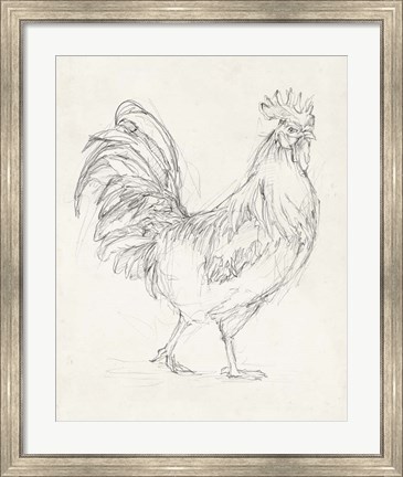 Framed Rooster Sketch I Print