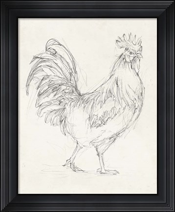 Framed Rooster Sketch I Print