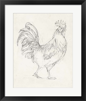 Framed Rooster Sketch I Print