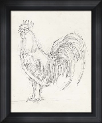 Framed Rooster Sketch II Print