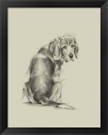 Framed Puppy Dog Eyes I Print