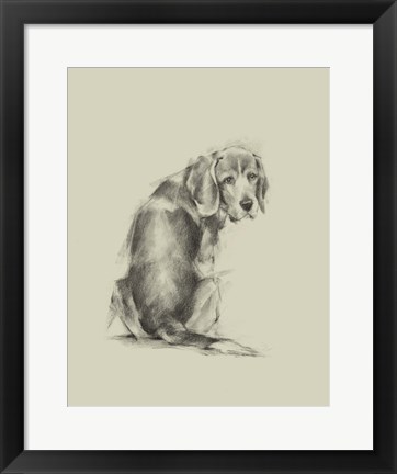 Framed Puppy Dog Eyes I Print