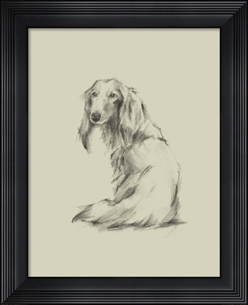 Framed Puppy Dog Eyes II Print