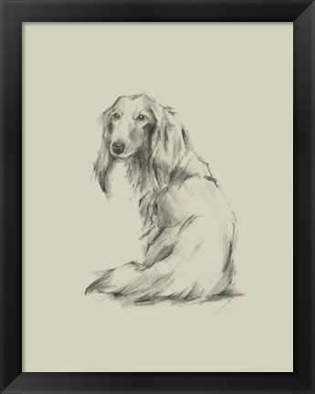 Framed Puppy Dog Eyes II Print