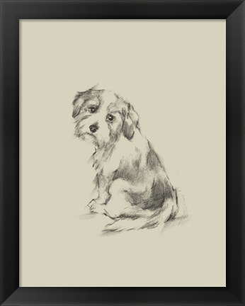Framed Puppy Dog Eyes III Print