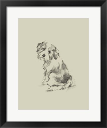 Framed Puppy Dog Eyes III Print