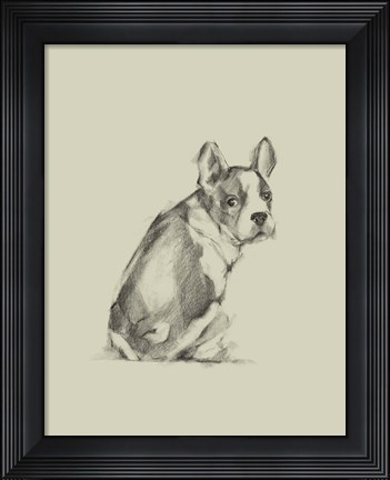 Framed Puppy Dog Eyes IV Print