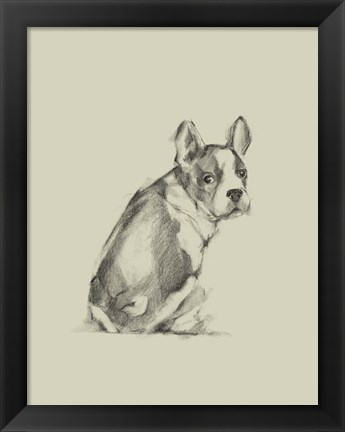 Framed Puppy Dog Eyes IV Print