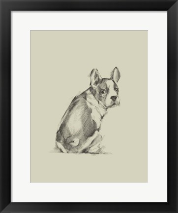 Framed Puppy Dog Eyes IV Print