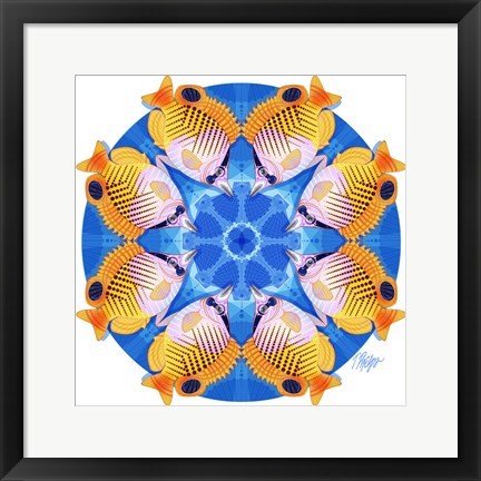 Framed Butterfly Fish Scallop Mandala Print