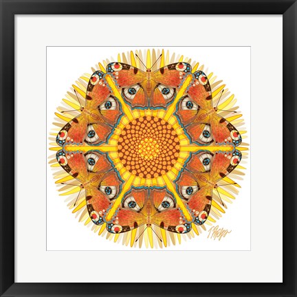 Framed Peacock Butterfly Mandala Print