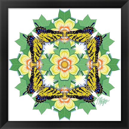 Framed Tulip Poplar Tiger Swallowtail Mandala Print
