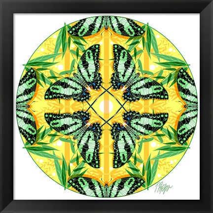 Framed Zebra Swallowtail Bamboo Mandala Print