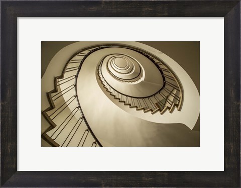 Framed Parrot Staircase Print