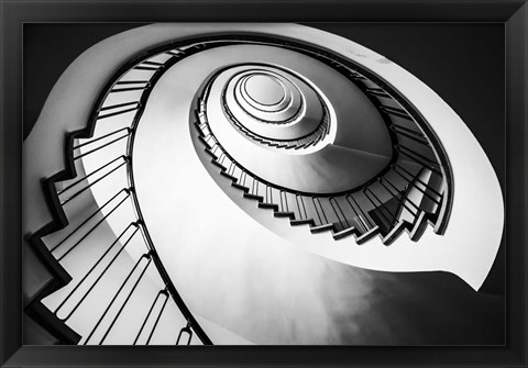 Framed Parrot Staircase  Black/White Print