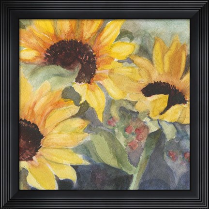 Framed Sunflowers in Watercolor II Print
