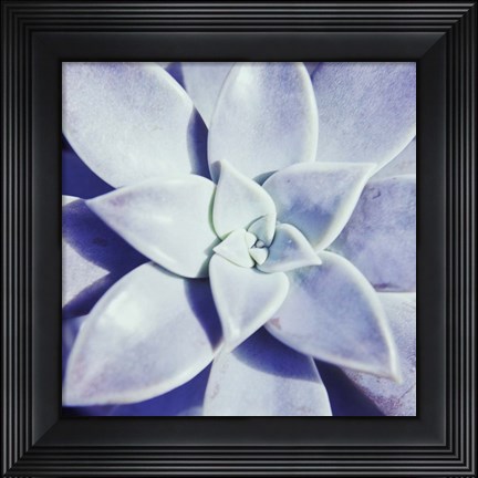 Framed Ultra Violet I Print