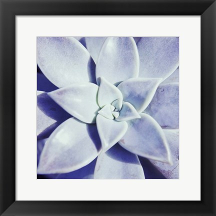 Framed Ultra Violet I Print